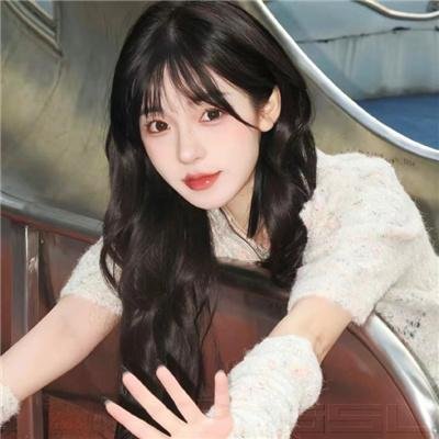 狐狸女士第二季